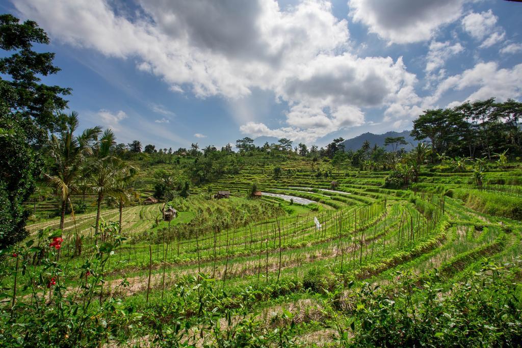 Subak Tabola Villa Sidemen  Luaran gambar